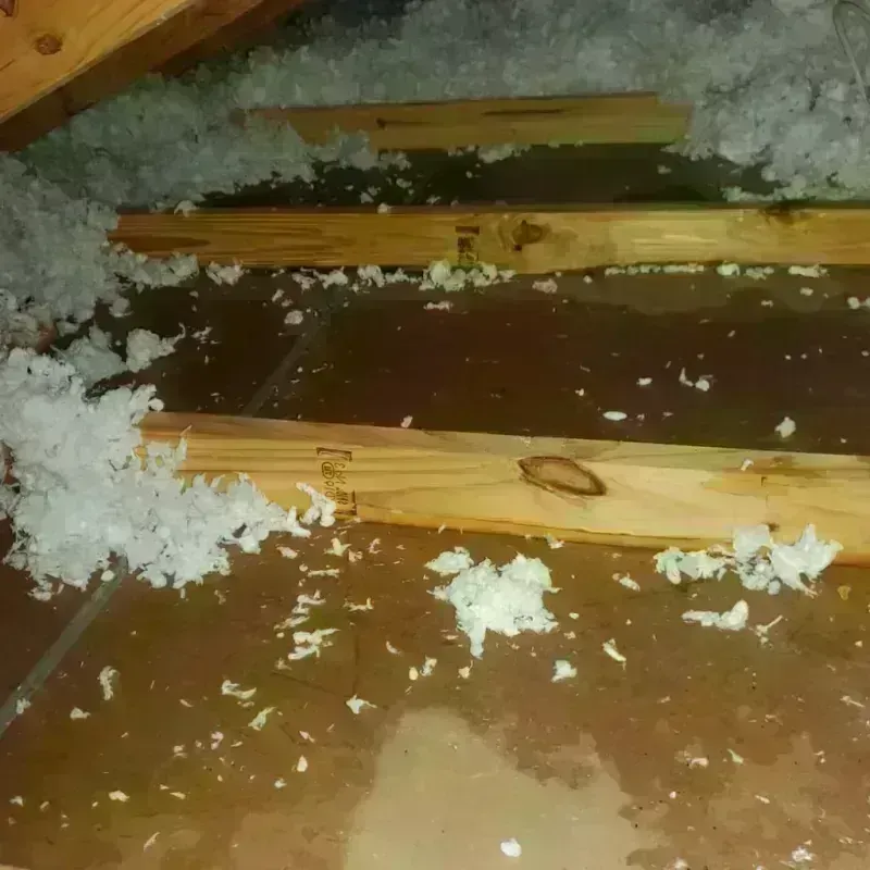 Attic Water Damage in Mabton, WA